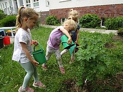 Drei kleine Kinder gießen eine kleine Pflanze im Freien.